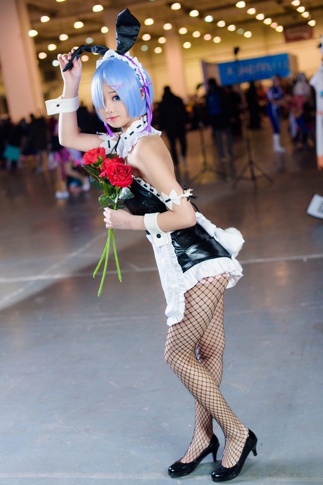 因气候变化楚科奇半岛北极熊向人类居住地聚集“FIFA CWC 世界杯官方授权投注平台”(图2) FIFA CWC 世界杯官方授权投注平台